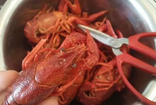 大廚教你做麻辣小龍蝦的秘方,解決不入味,小白也能做出好滋味 夏天